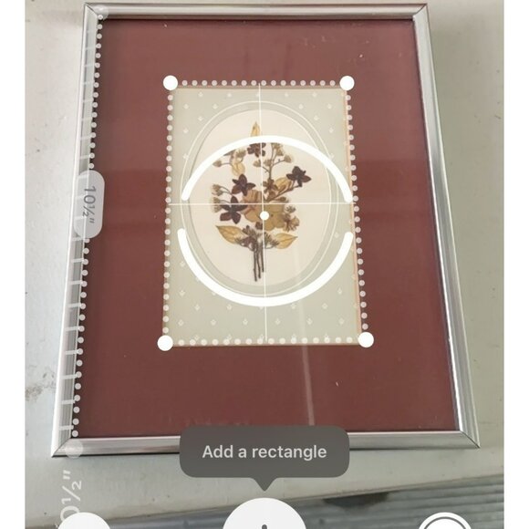 VTG Pressed Flower Art Frame 8x10.5 | Etched Silver Border Botanical Herbarium - Picture 2 of 7